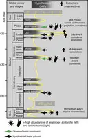 revista