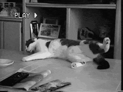a vos te digo +7 que salis riendo de aca