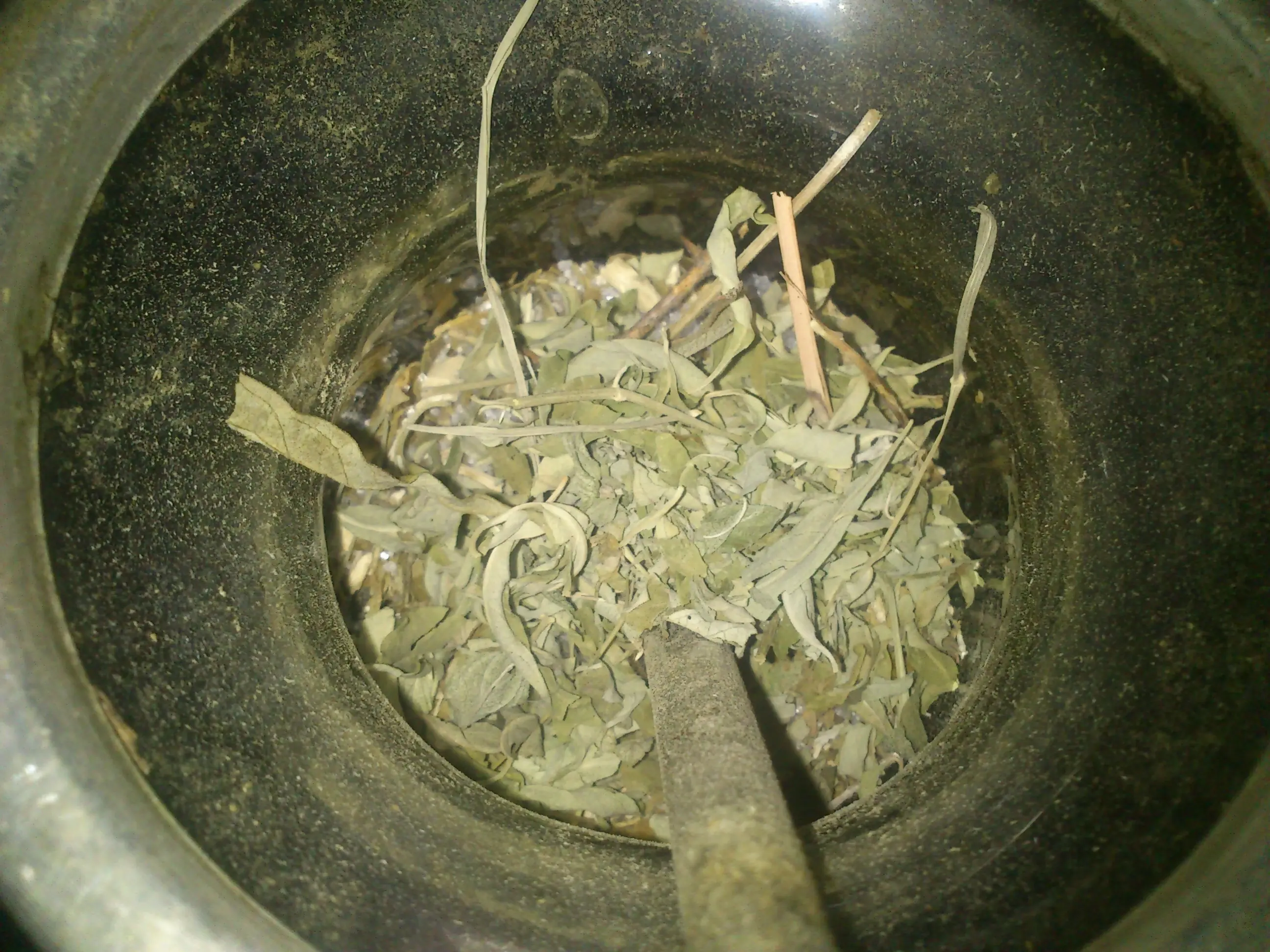 mate