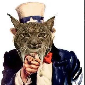 +10 si te hago flashar: Dibujos lisérgicos