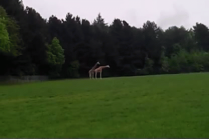 30 Gifs que resumen tu primera experiencia sexual