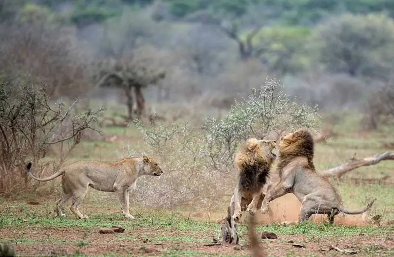 10 cosas que no sabias