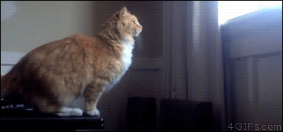 Super fails (gifs graciosos)