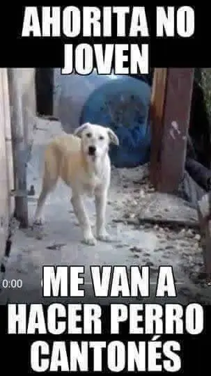 Megapost de imágenes random para sacarte el aburrimiento