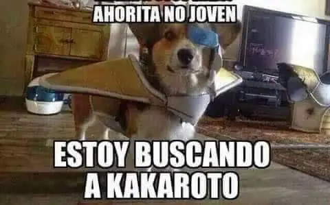 gracioso