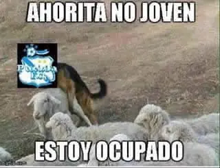 humor