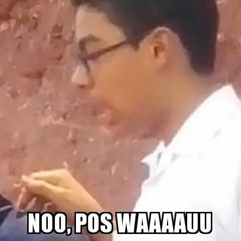 fotos