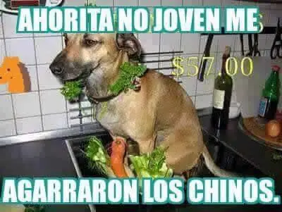 fotos