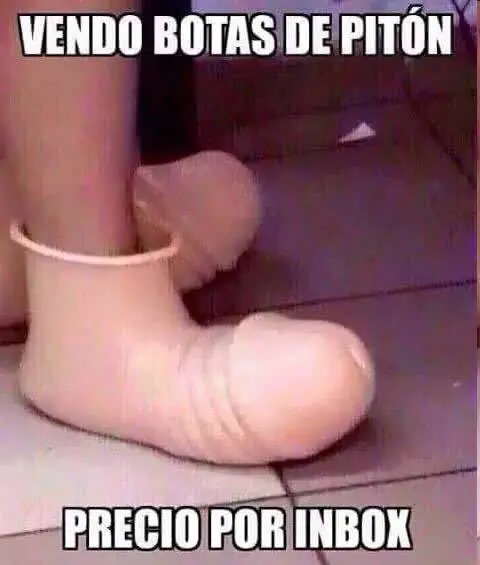 fotos