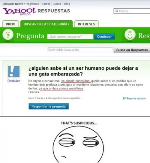 fotos