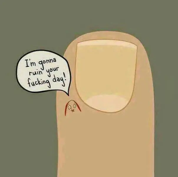 humor