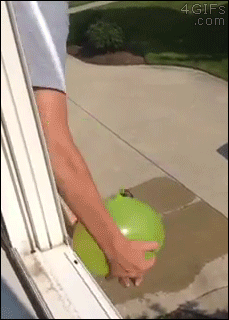 Gifs
