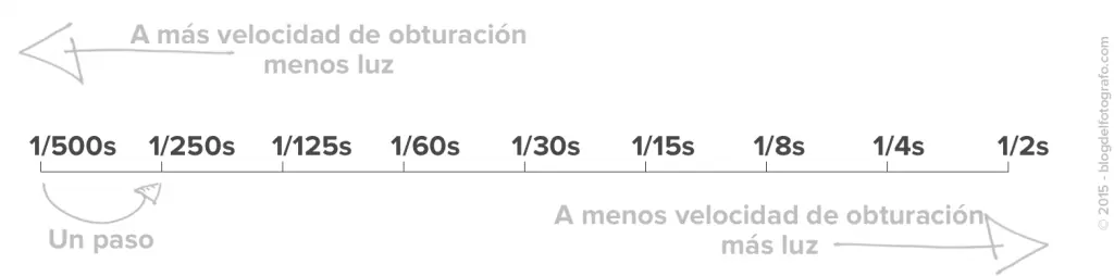 wassi