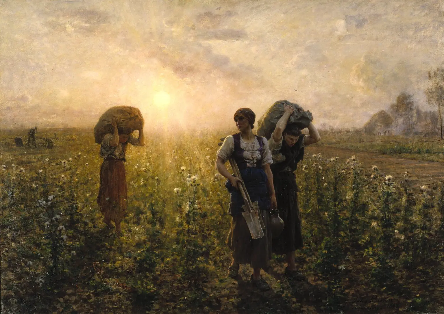 campesina