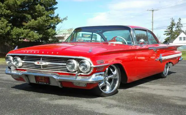 impala impala