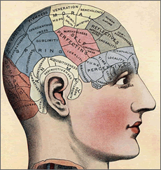 mito del 10 del cerebro