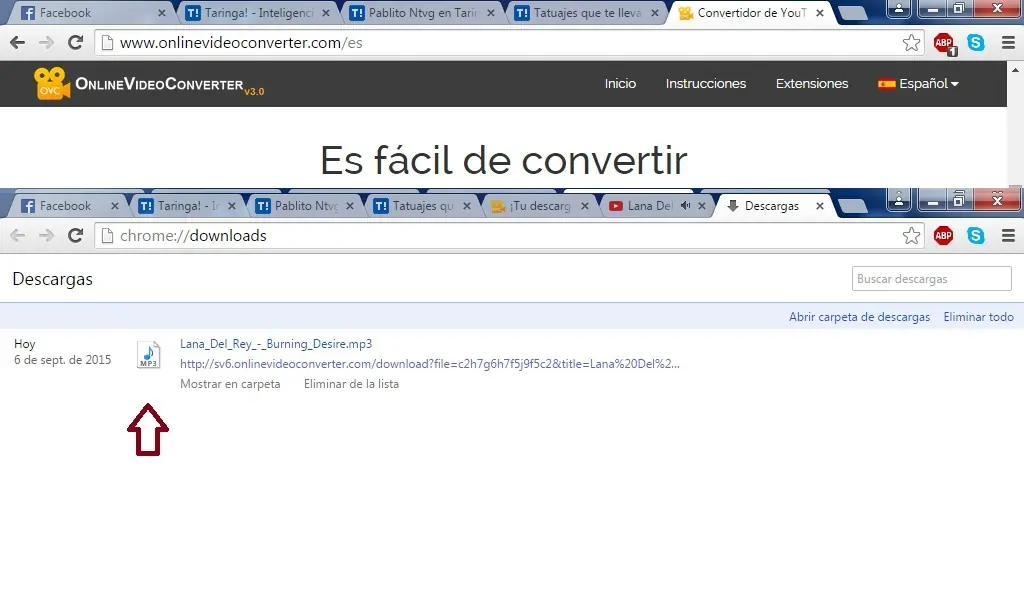 Convertidor yotube