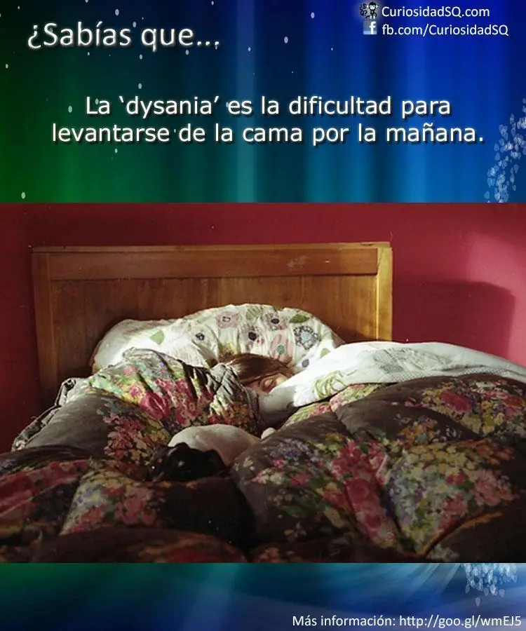 imagenes