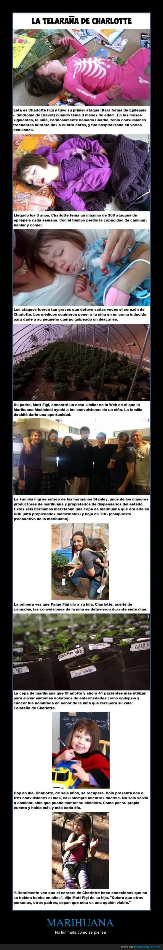 imagenes