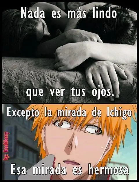 memes