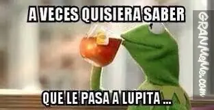 consejo
