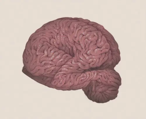 drogas