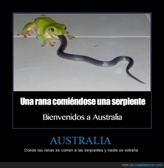 imagenes
