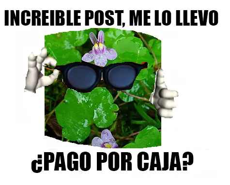 taringa
