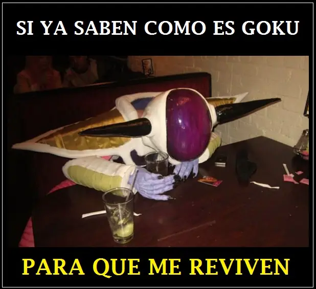 videos