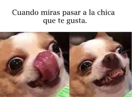 memes
