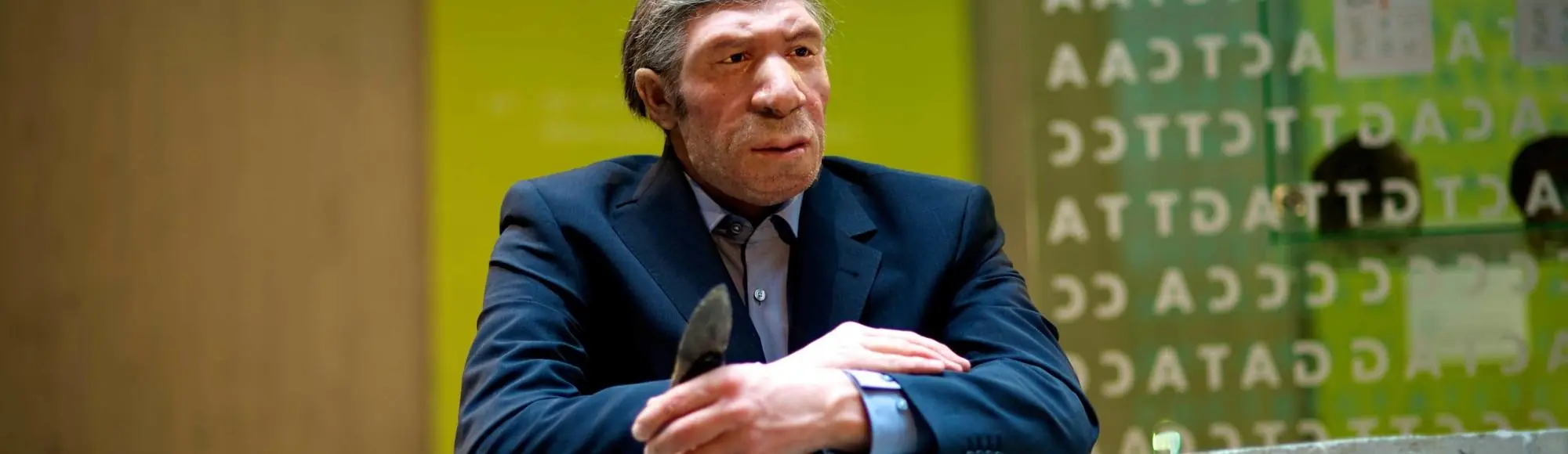 hominidos