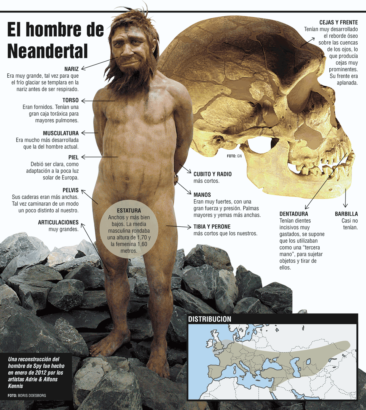 Neanderthal: ¿nuestro peor enemigo?