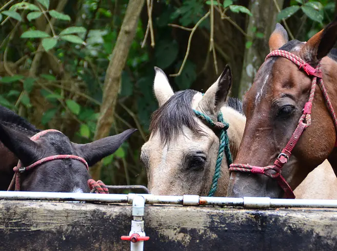 26 Lugares impresionantes de Latino América que debe visitar