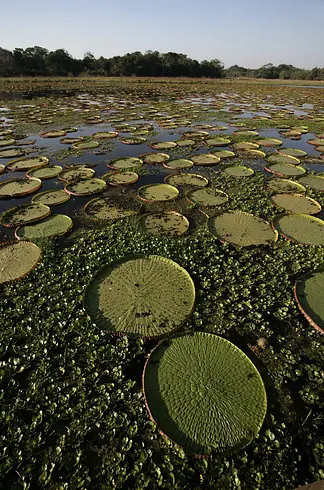26 Lugares impresionantes de Latino América que debe visitar