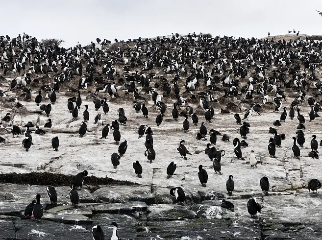 26 Lugares impresionantes