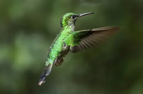 26 Lugares impresionantes