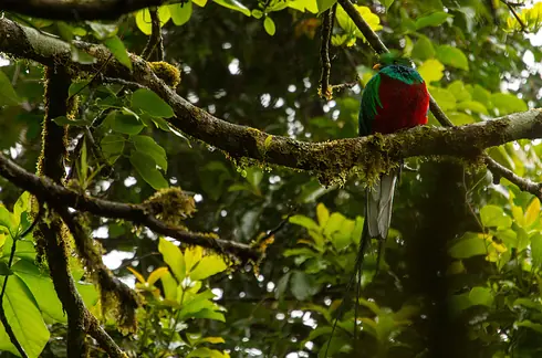 26 Lugares impresionantes de Latino América que debe visitar