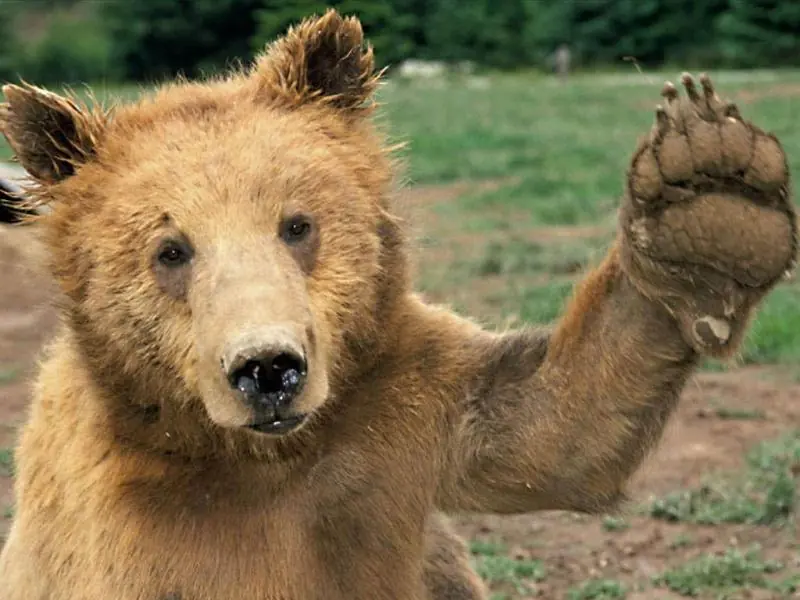 mujer pide sexo por la calle