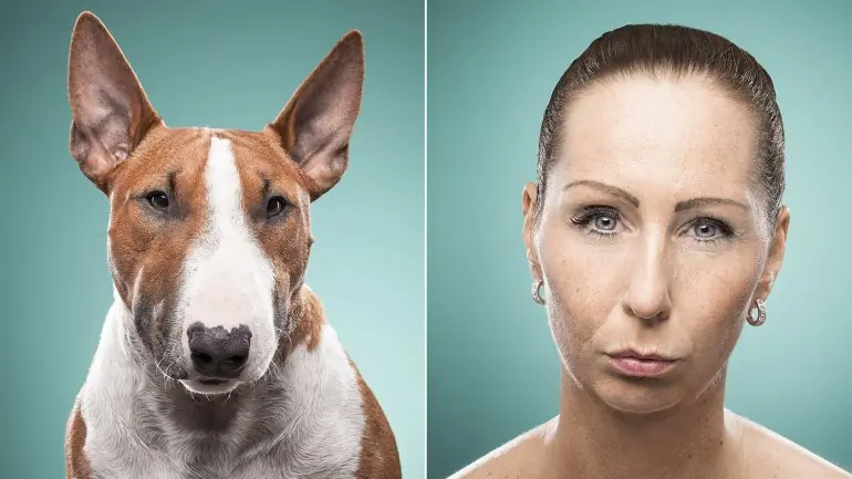Perros que se parecen a sus dueños
