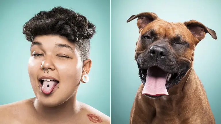 perros
