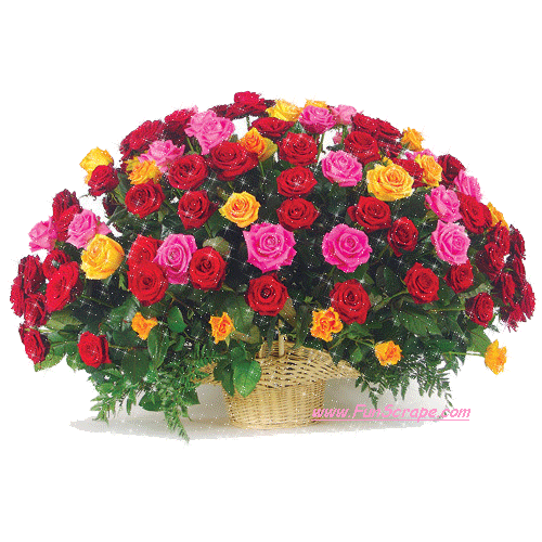 imagenes