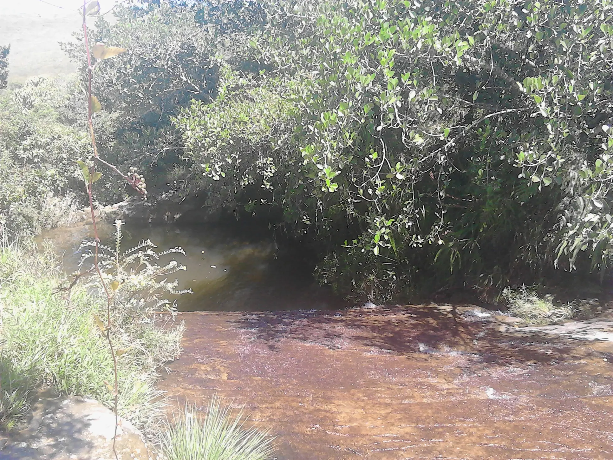 Estas son fotos que he tomado por ahi.