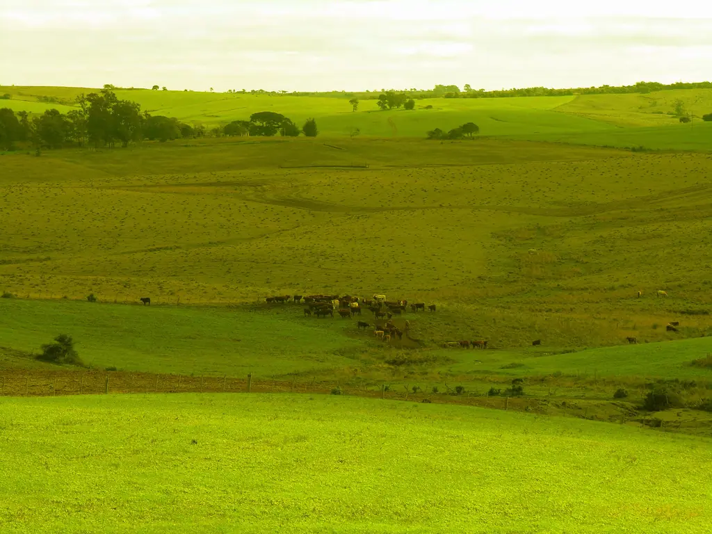 paisajes