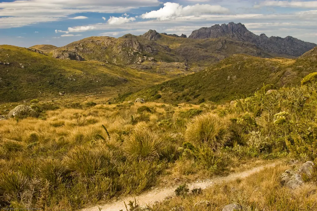 Te muestro paisajes de Brasil, vení ponete el cinturón