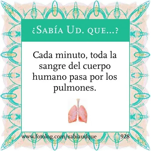 40 "Sabias que" para chamuyar a minitas
