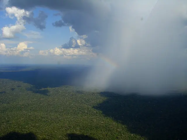 Te muestro paisajes de Brasil, vení ponete el cinturón