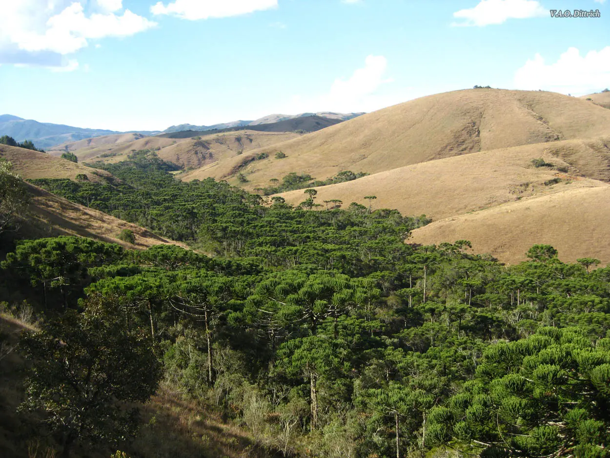 paisajes