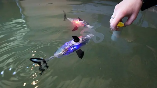 Rusos desarrollan un pez robótico con fines militares