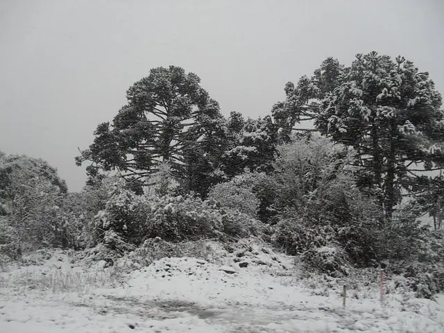 hermosos