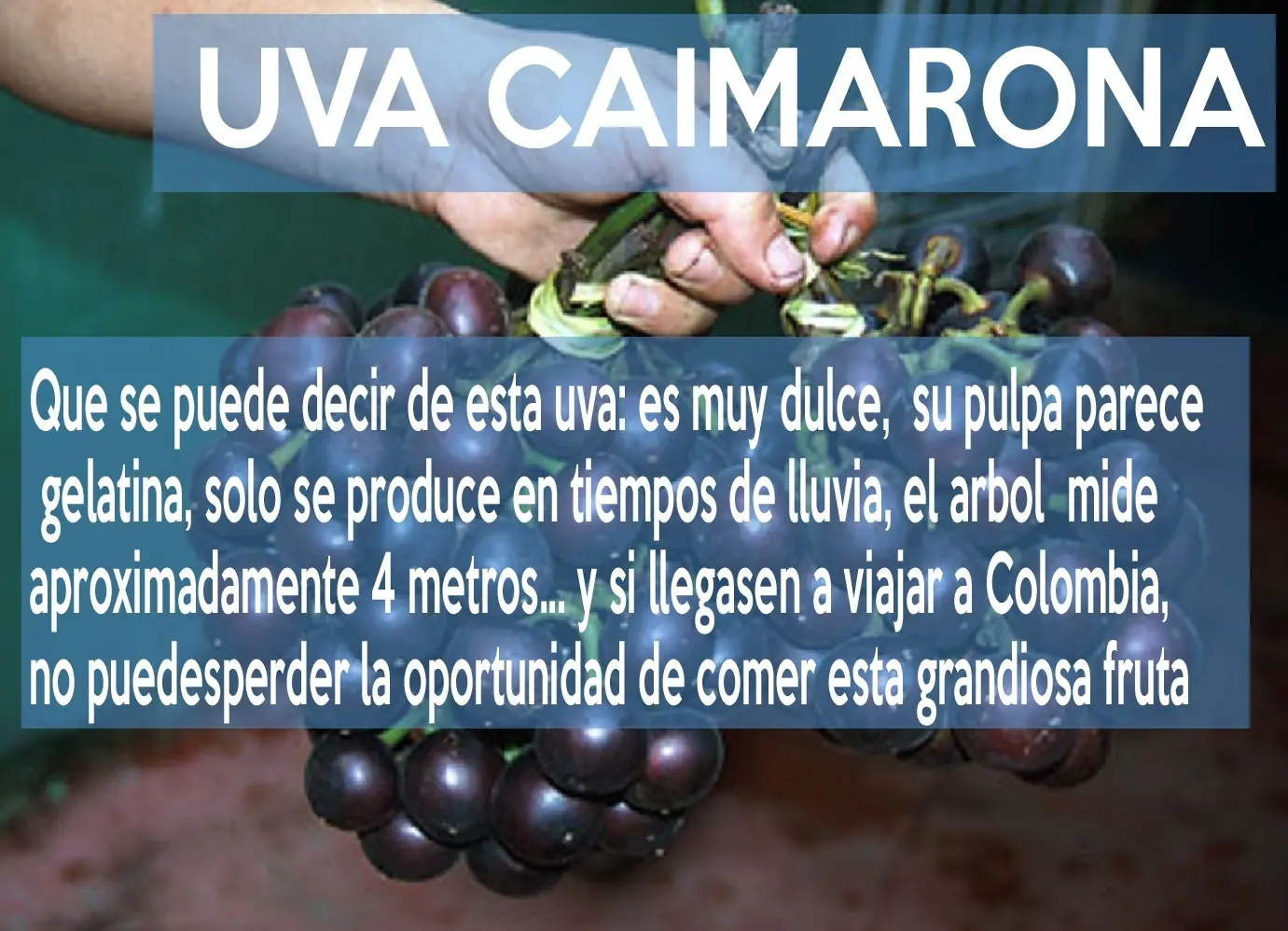 Colombia